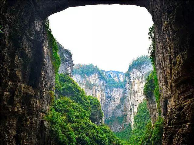猫猫冒险团
