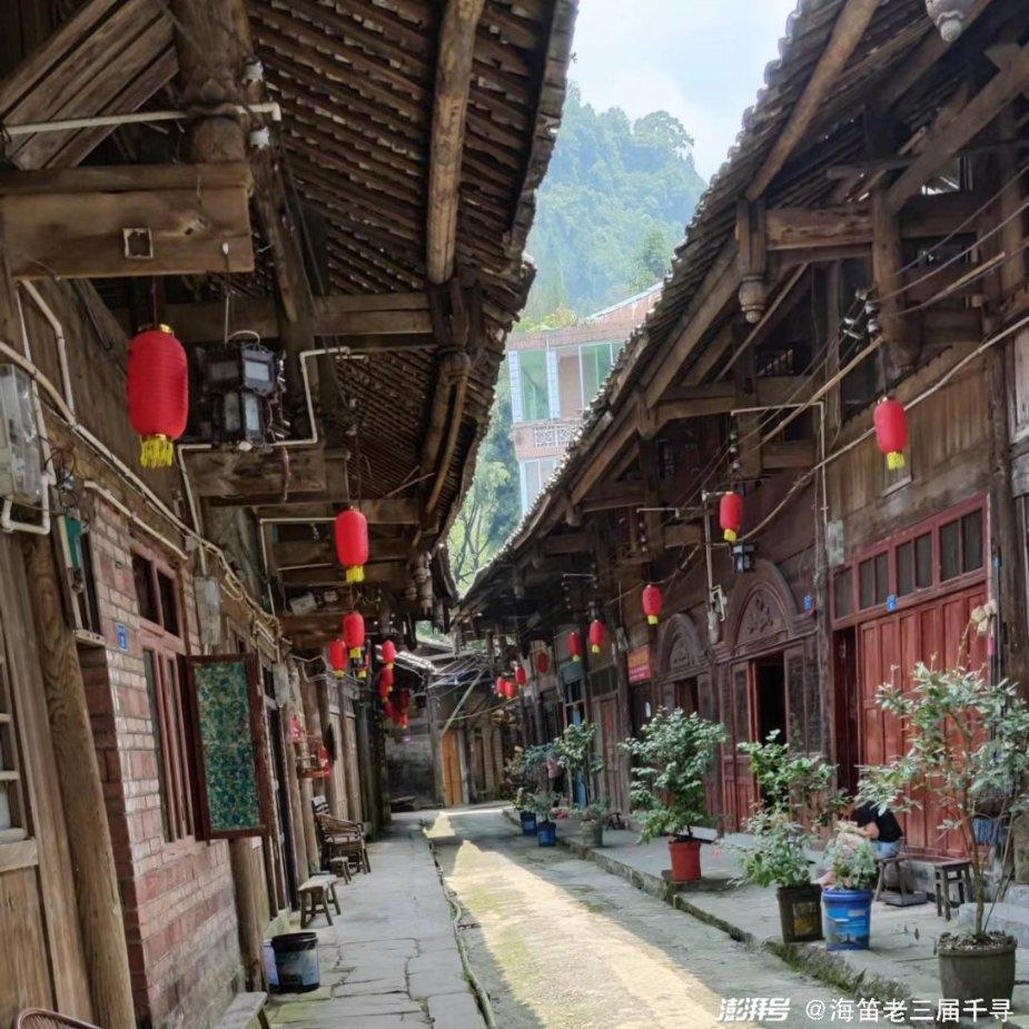 逗小猴开心系列209