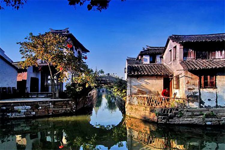 呆萌动物园